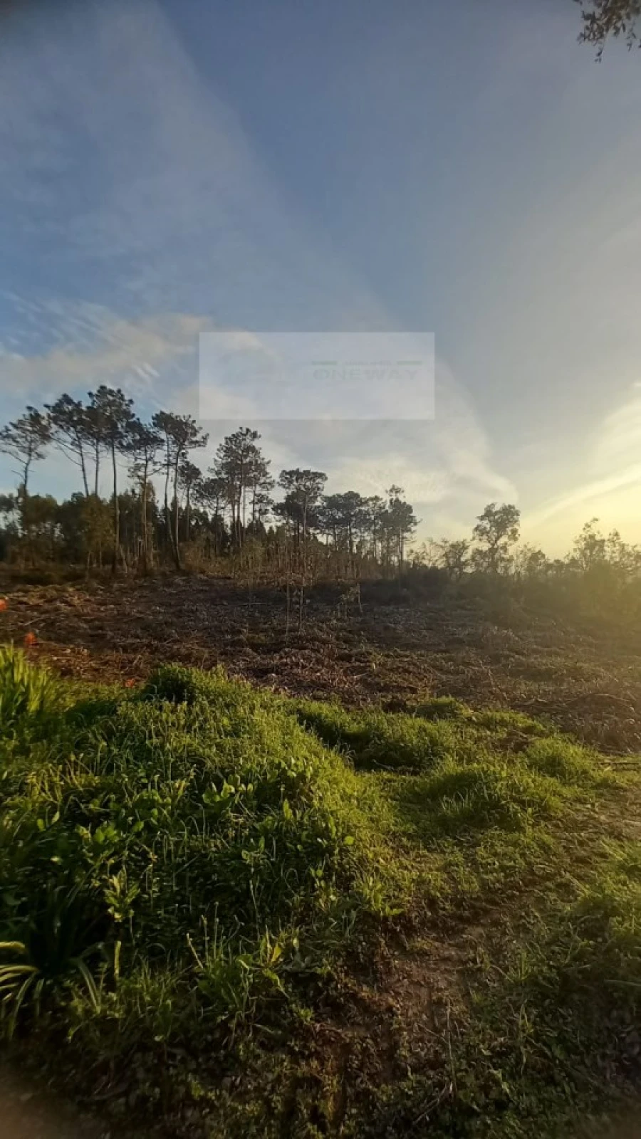 Terreno para Venda em Mafra Foto 7