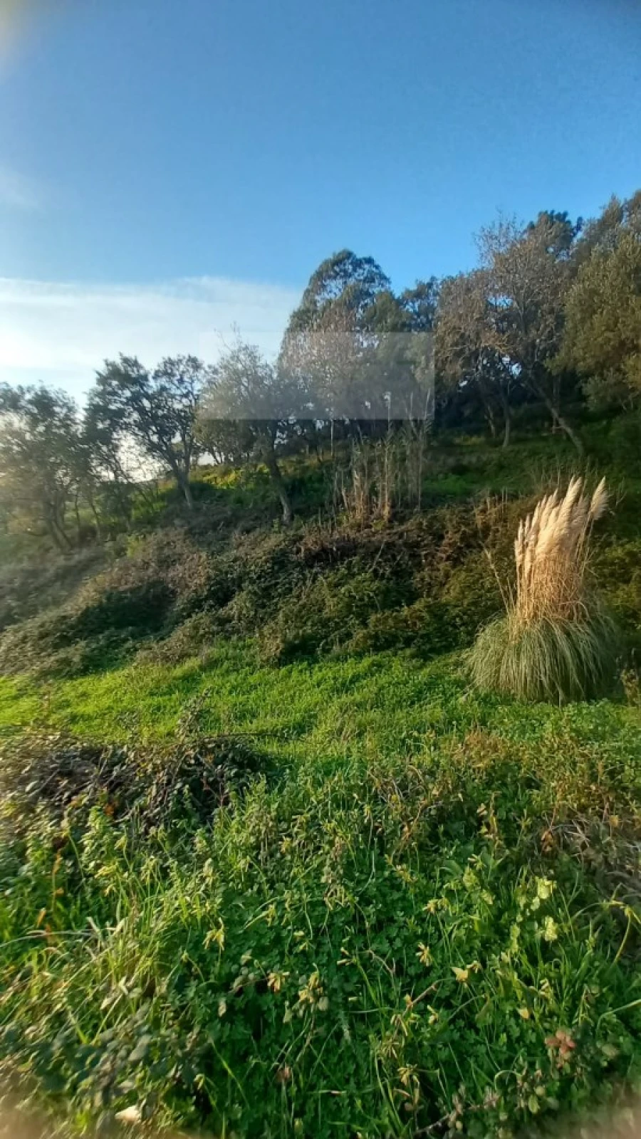 Terreno para Venda em Mafra Foto 11