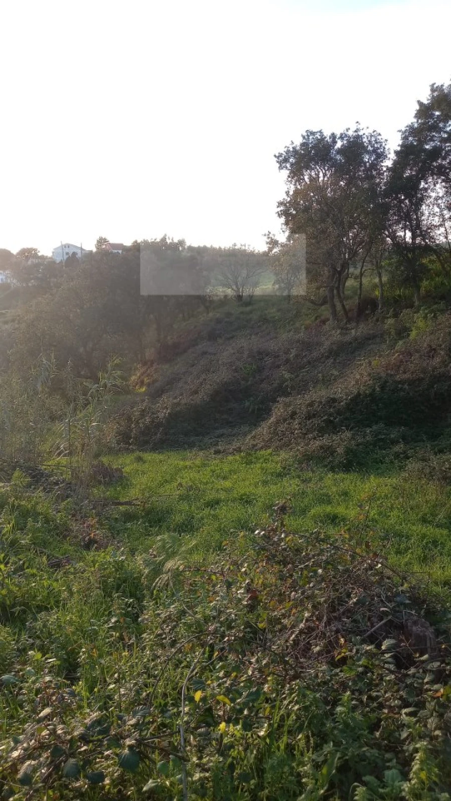 Terreno para Venda em Mafra Foto 13