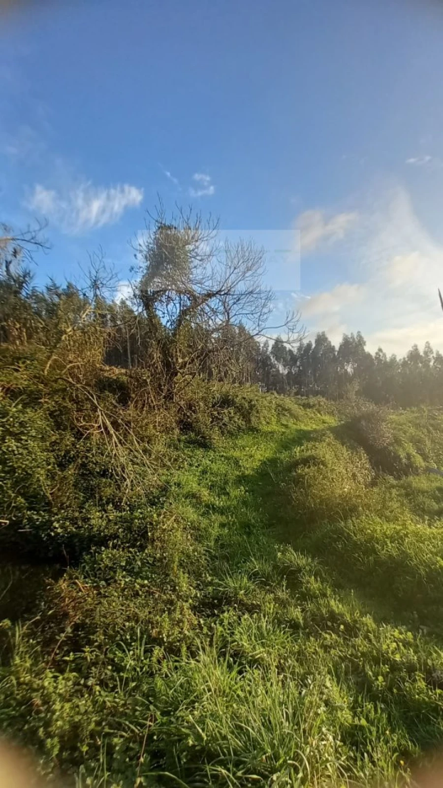 Terreno para Venda em Mafra Foto 14