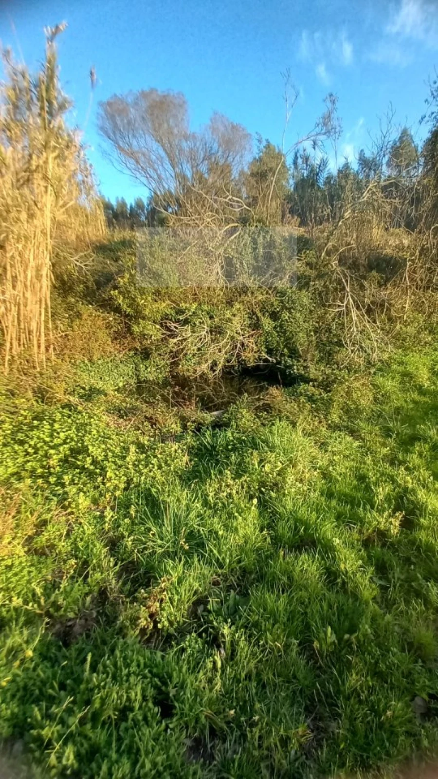 Terreno para Venda em Mafra Foto 15