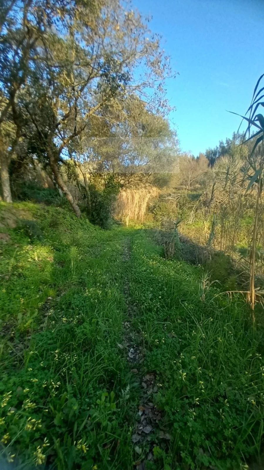 Terreno para Venda em Mafra Foto 18