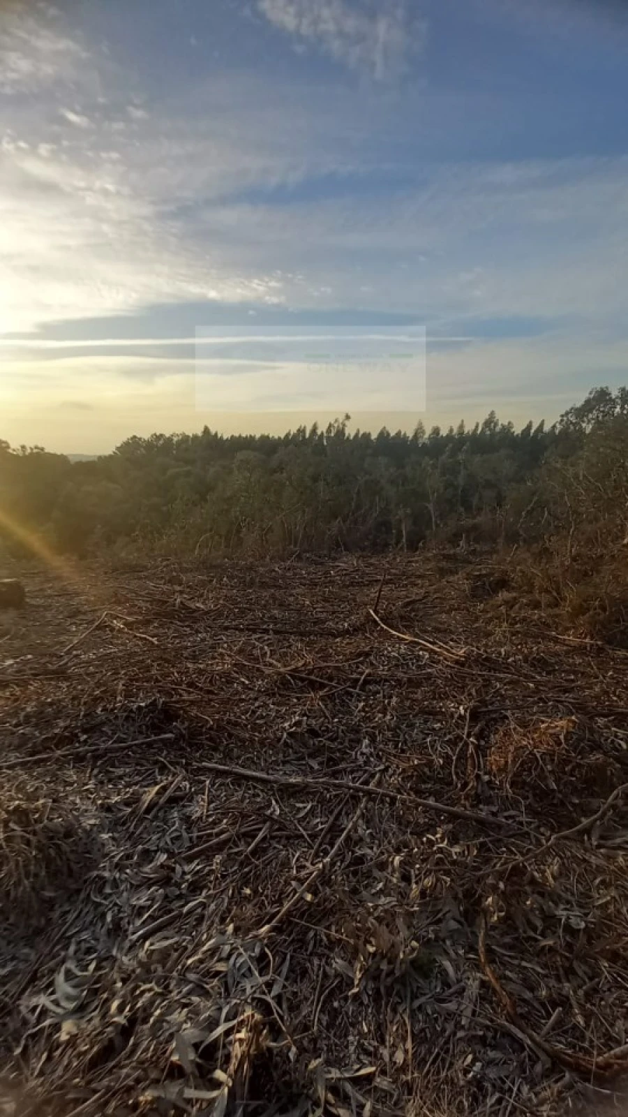 Terreno para Venda em Mafra Foto 25