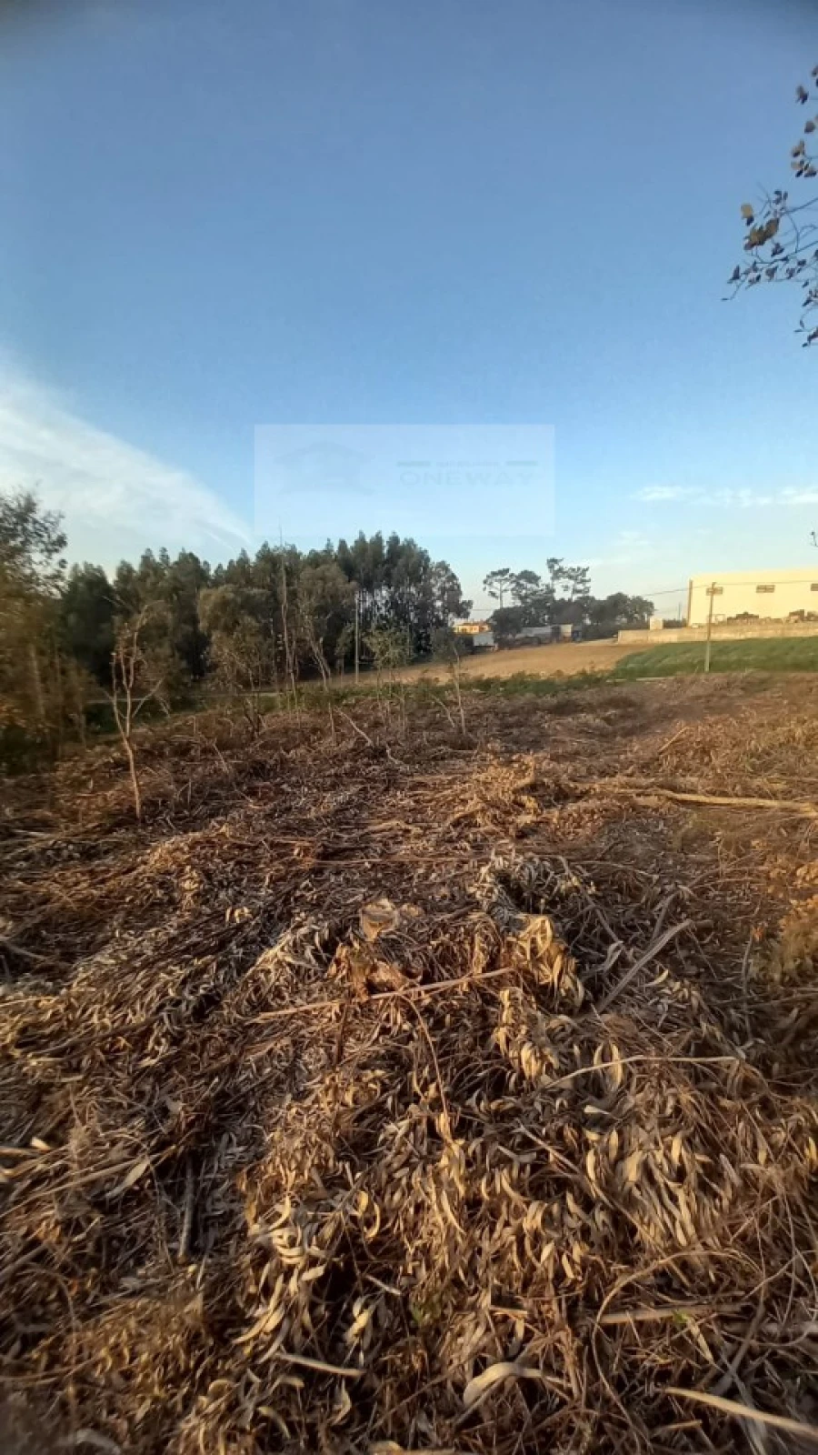Terreno para Venda em Mafra Foto 26
