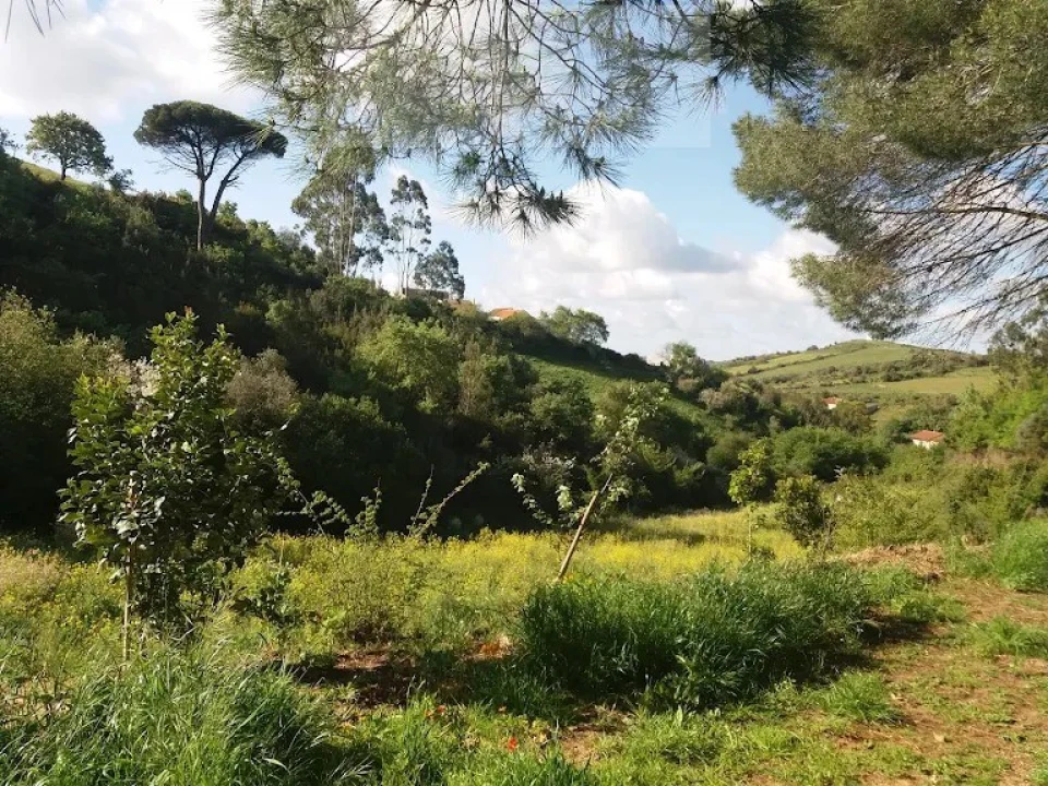 Terreno para Venda em Venda do Pinheiro e Santo Estêvão das Galés Foto 4