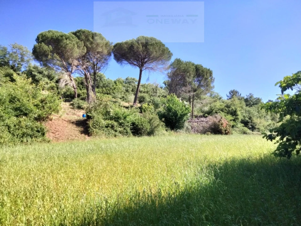 Terreno para Venda em Venda do Pinheiro e Santo Estêvão das Galés Foto 2