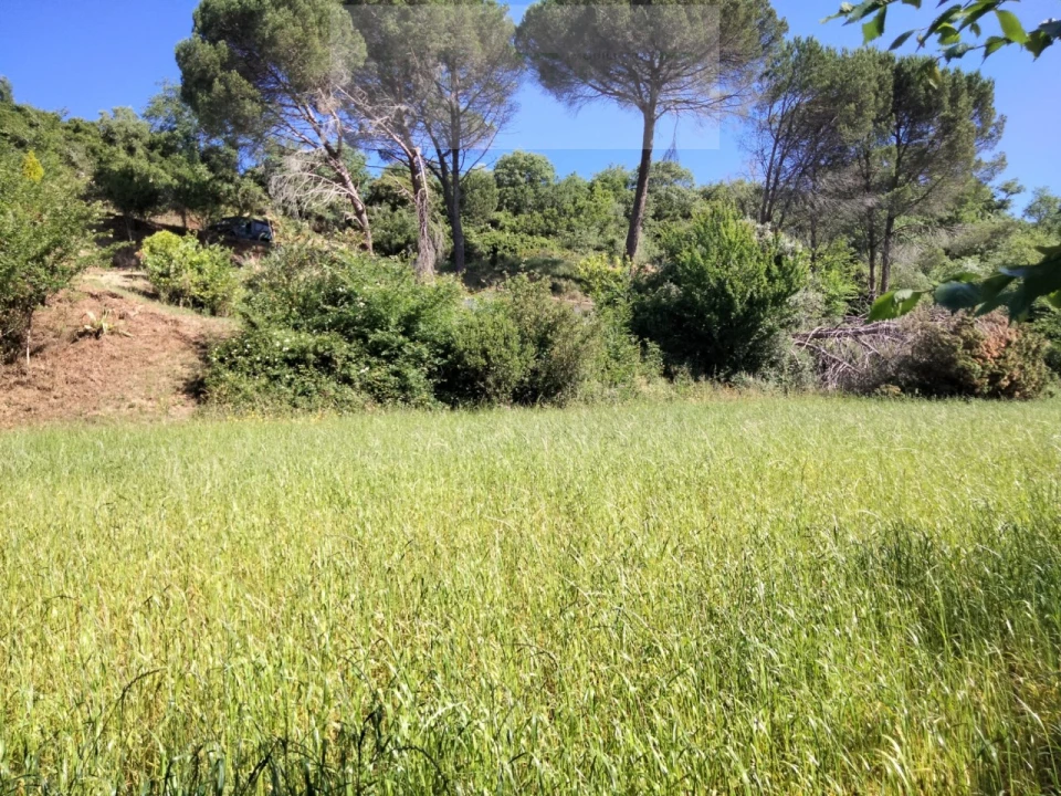 Terreno para Venda em Venda do Pinheiro e Santo Estêvão das Galés Foto 8