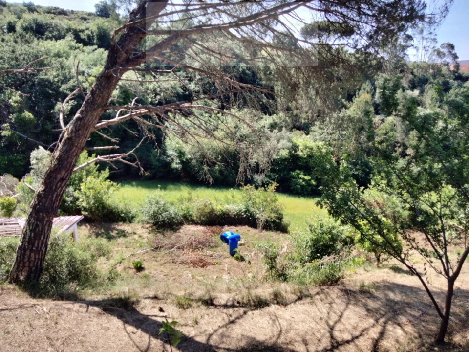 Terreno para Venda em Venda do Pinheiro e Santo Estêvão das Galés Foto 12