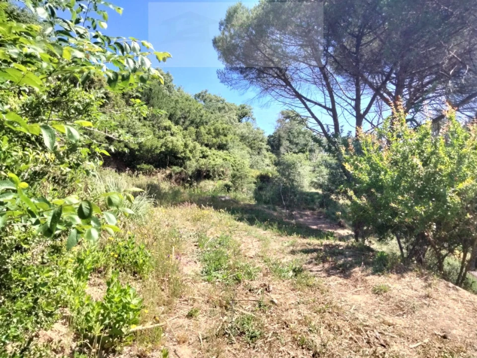 Terreno para Venda em Venda do Pinheiro e Santo Estêvão das Galés Foto 1