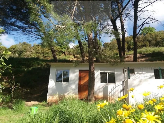 Terreno para Venda em Venda do Pinheiro e Santo Estêvão das Galés Foto 3