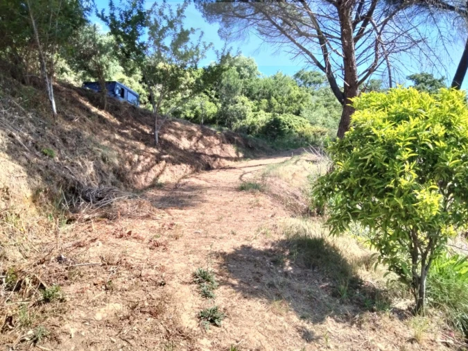 Terreno para Venda em Venda do Pinheiro e Santo Estêvão das Galés Foto 7