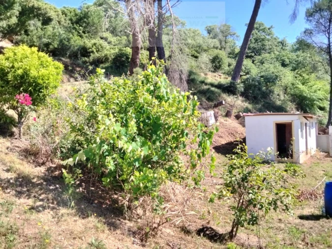 Terreno para Venda em Venda do Pinheiro e Santo Estêvão das Galés Foto 11