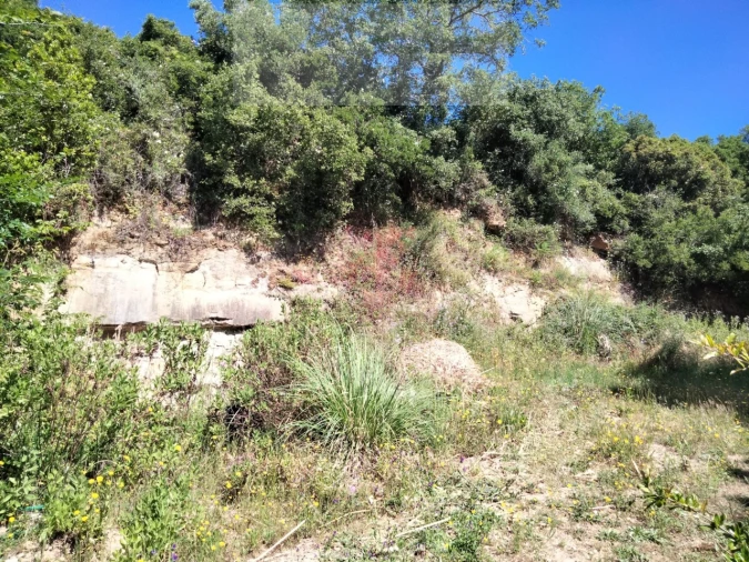 Terreno para Venda em Venda do Pinheiro e Santo Estêvão das Galés Foto 13