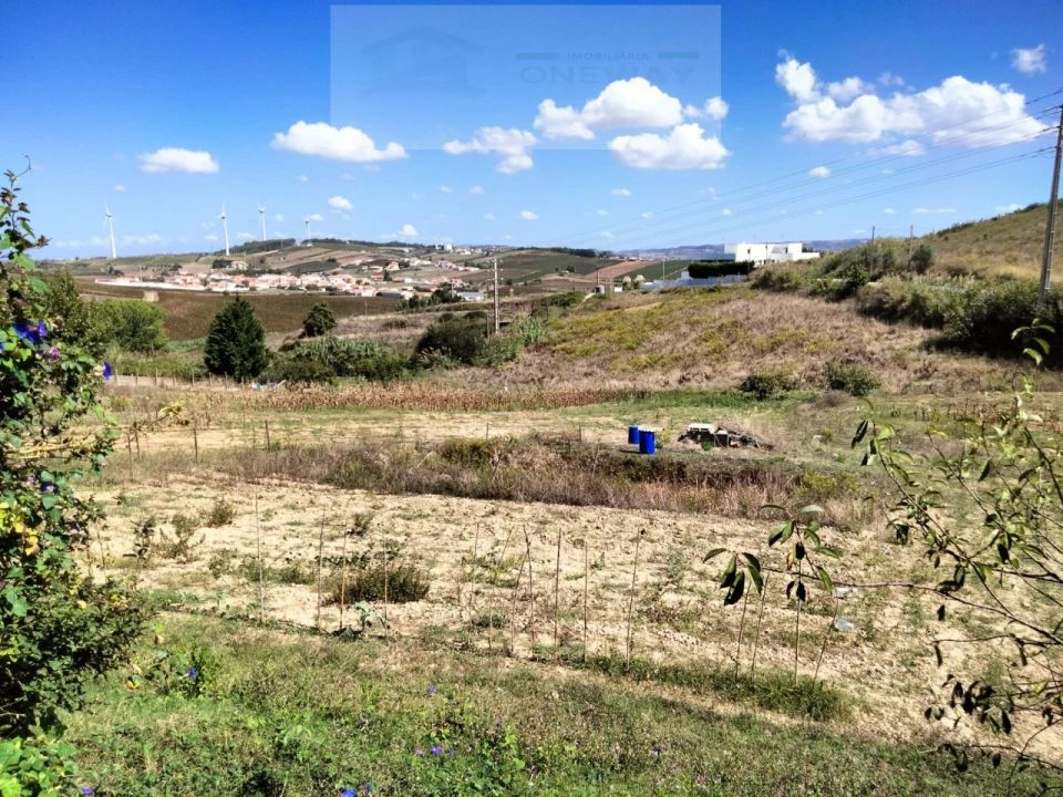 Moradia T4 para Venda em Freiria Foto 23