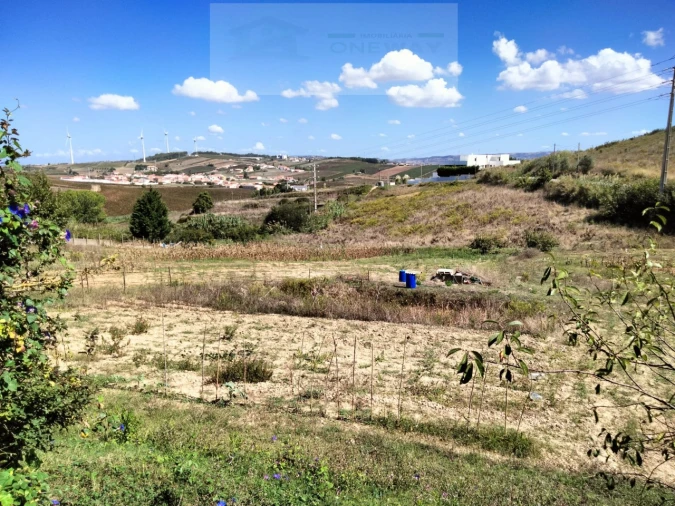 Moradia T4 para Venda em Freiria Foto 23