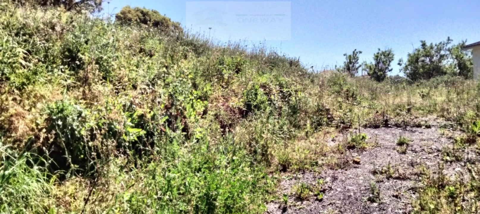 Terreno para Venda em Mafra Foto 11