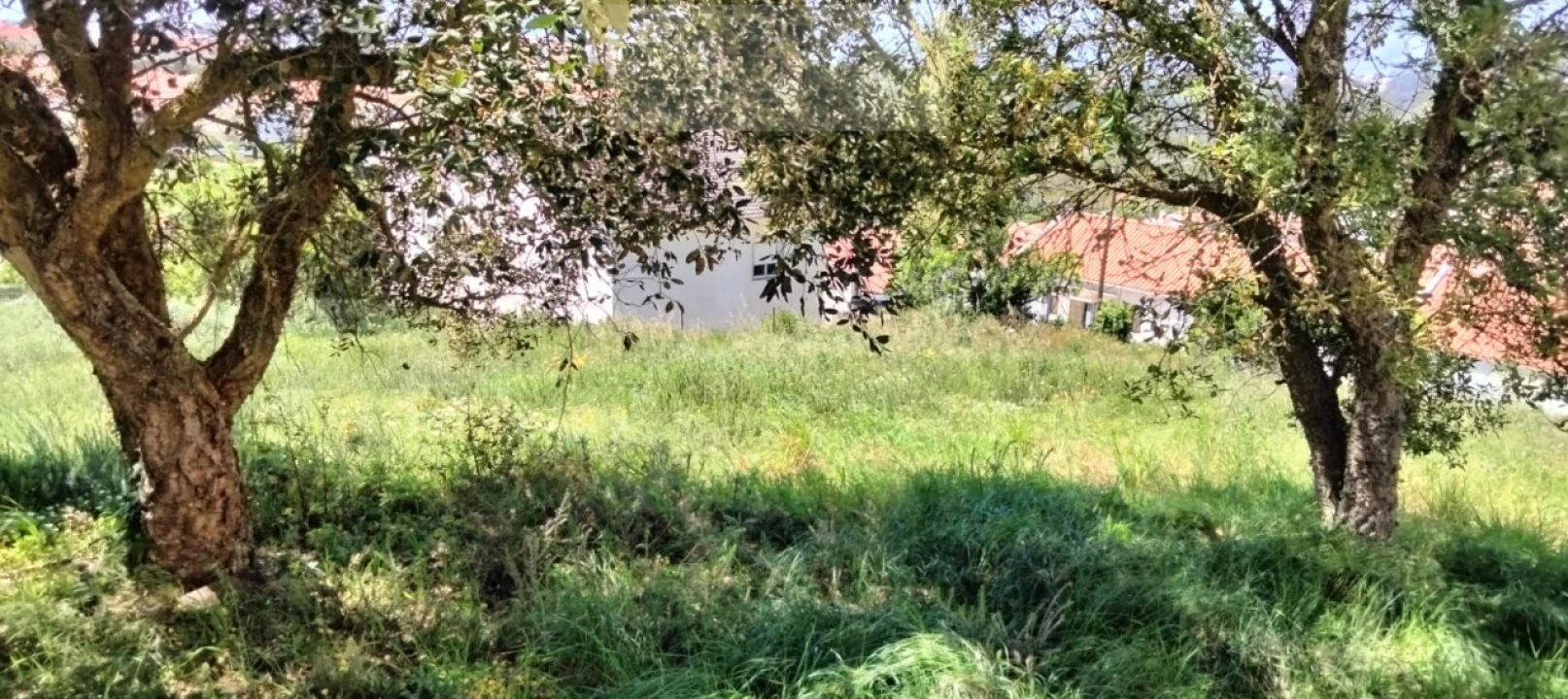 Terreno para Venda em Mafra Foto 14