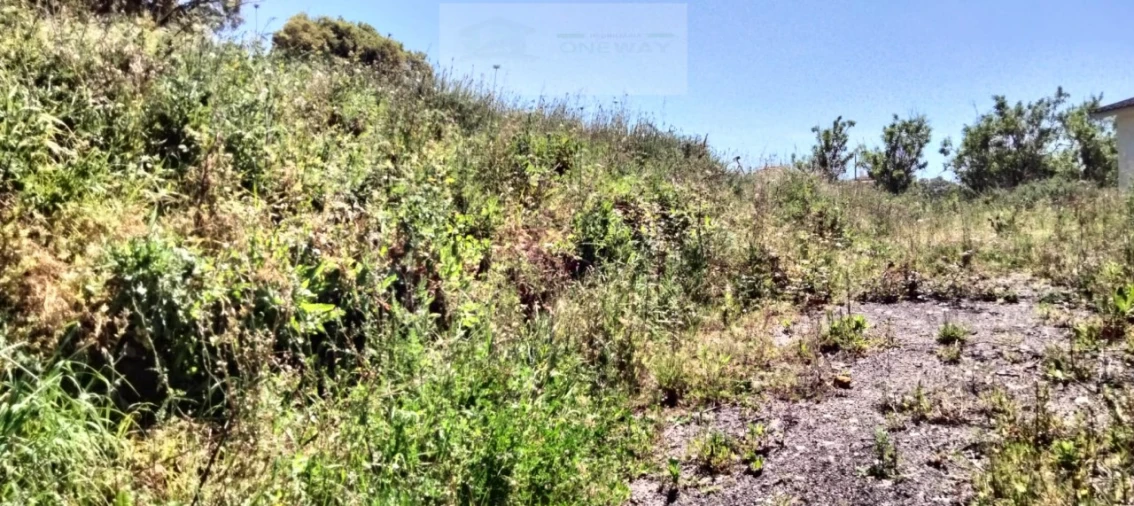 Terreno para Venda em Mafra Foto 11