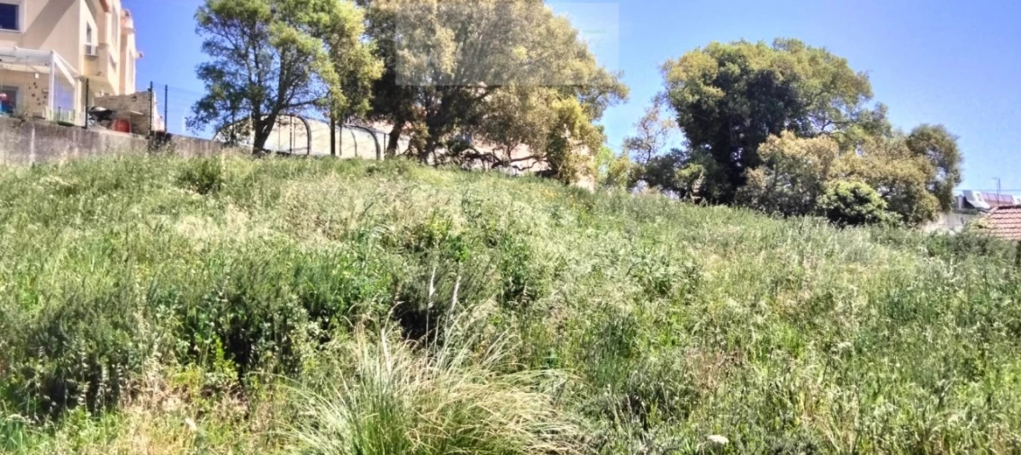 Terreno para Venda em Mafra Foto 12