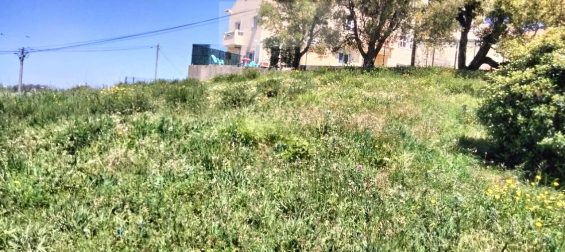 Terreno para Venda em Mafra Foto 16