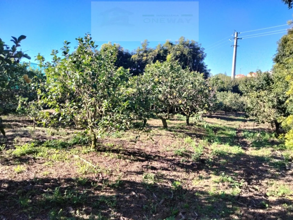 Terreno Misto para Venda em Mafra Foto 2