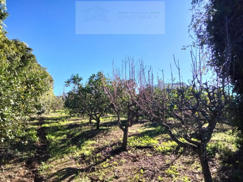Terreno Misto para Venda em Mafra Foto 3