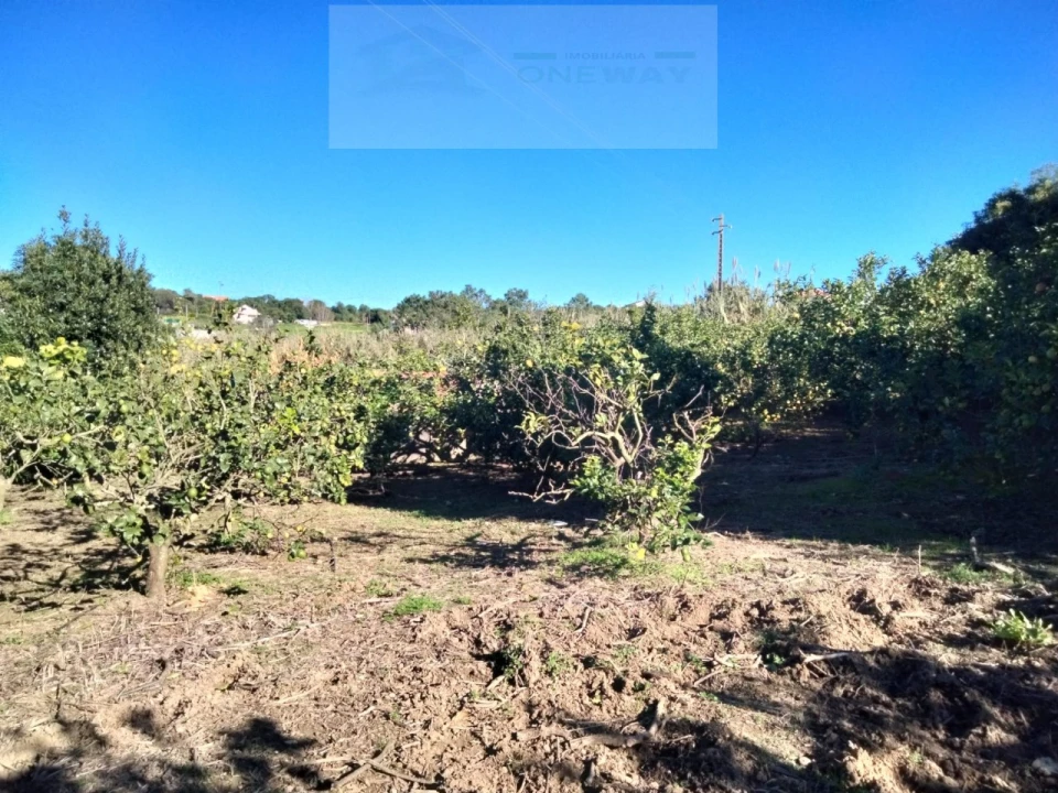 Terreno Misto para Venda em Mafra Foto 4