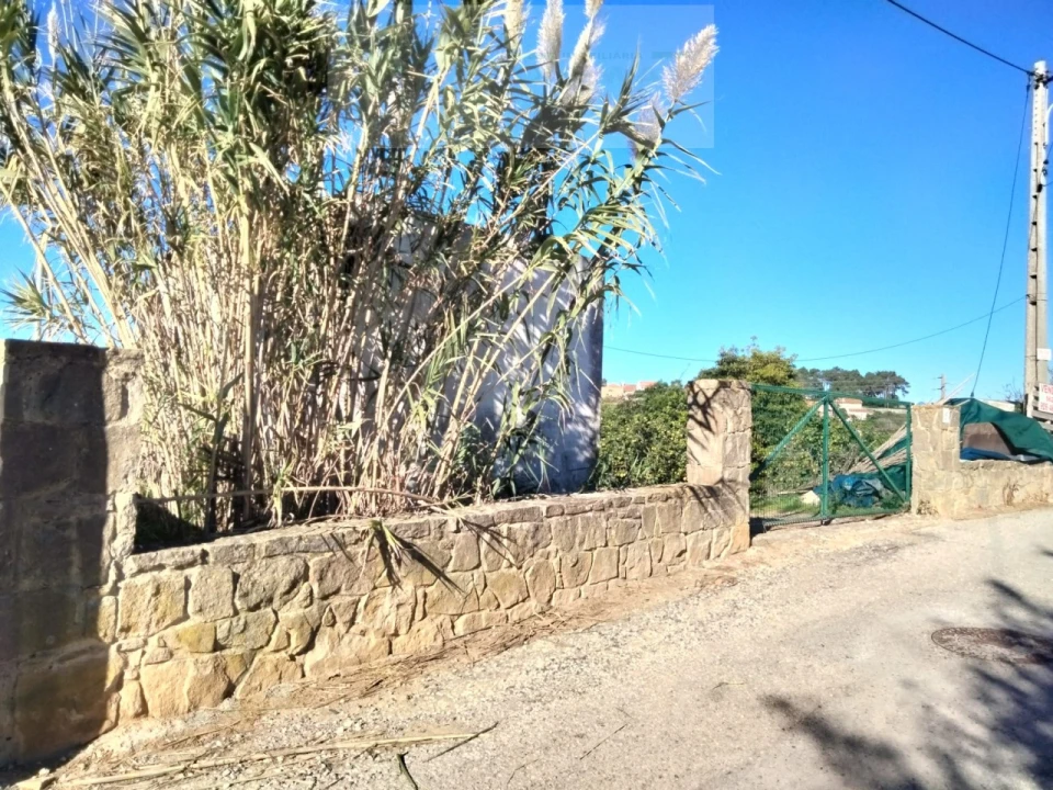 Terreno Misto para Venda em Mafra Foto 6