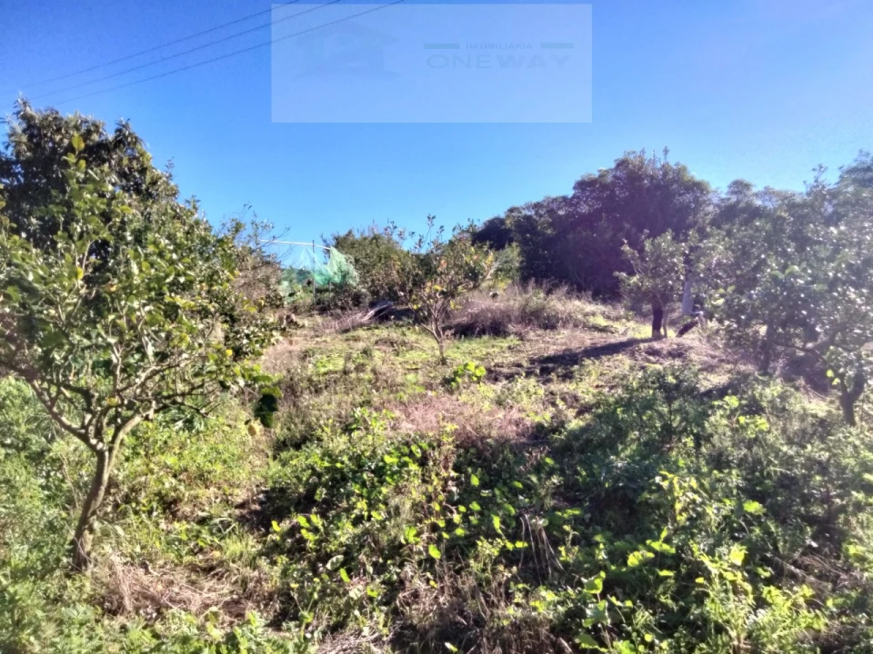Terreno Misto para Venda em Mafra Foto 8
