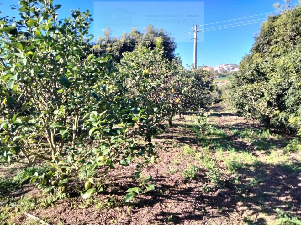 Terreno Misto para Venda em Mafra Foto 9
