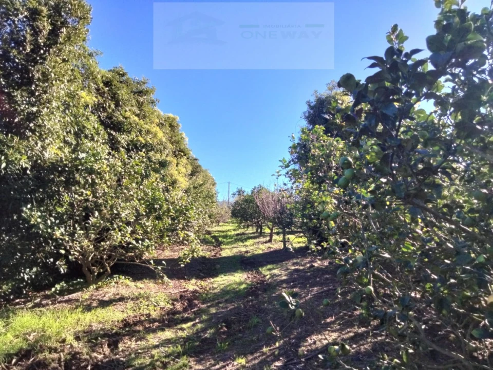 Terreno Misto para Venda em Mafra Foto 11