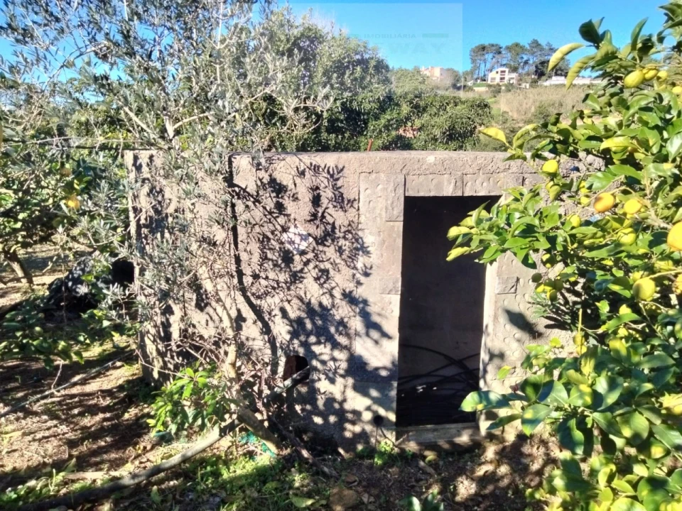 Terreno Misto para Venda em Mafra Foto 12