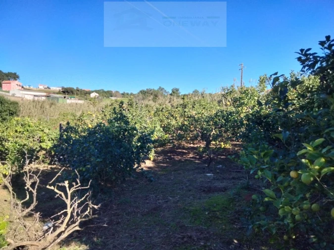 Terreno Misto para Venda em Mafra Foto 10