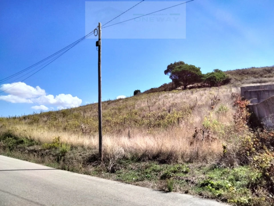 Terreno para Venda em Freiria Foto 2