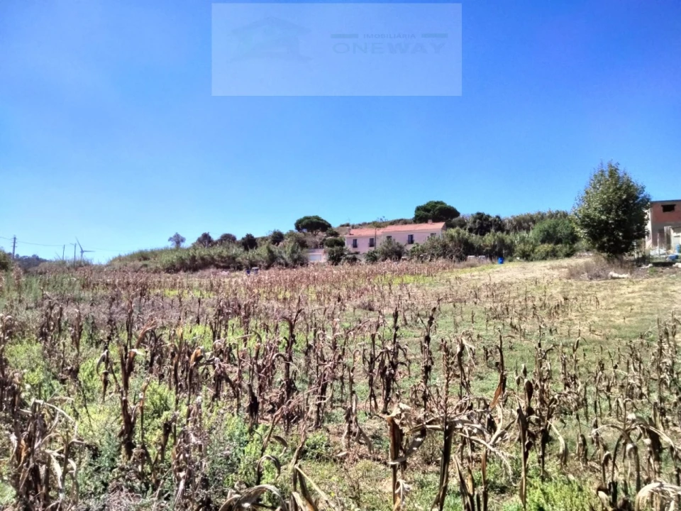 Terreno para Venda em Freiria Foto 5
