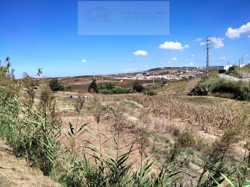 Terreno para Venda em Freiria Foto 6