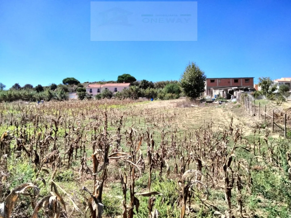 Terreno para Venda em Freiria Foto 8