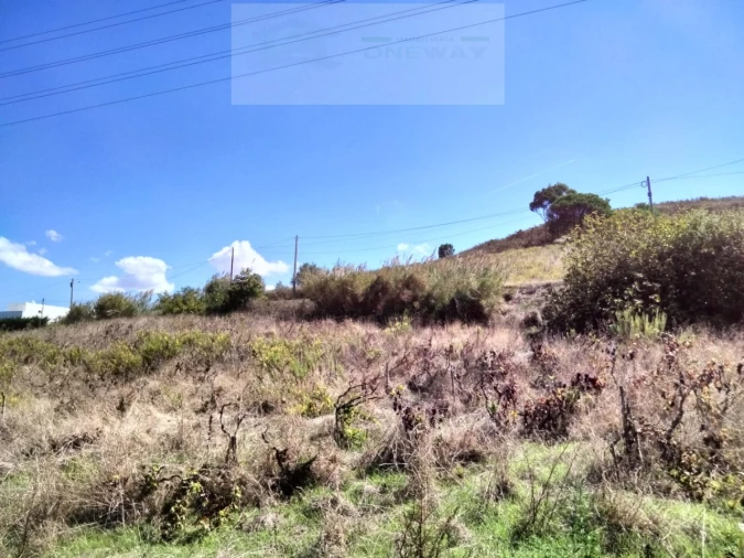 Terreno para Venda em Freiria Foto 4