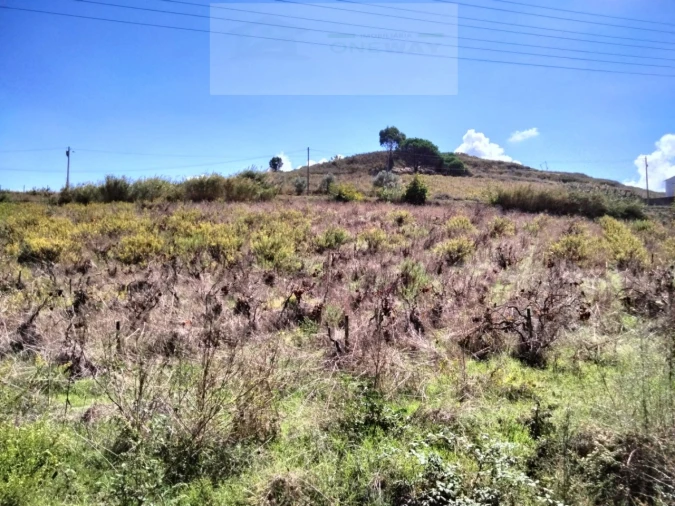 Terreno para Venda em Freiria