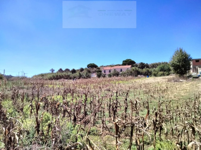 Terreno para Venda em Freiria Foto 5