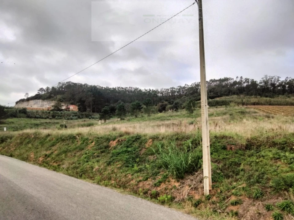 Terreno para Venda em Freiria Foto 3