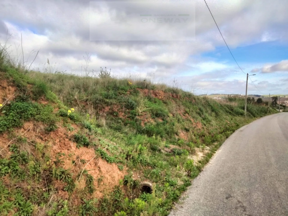 Terreno para Venda em Freiria Foto 2