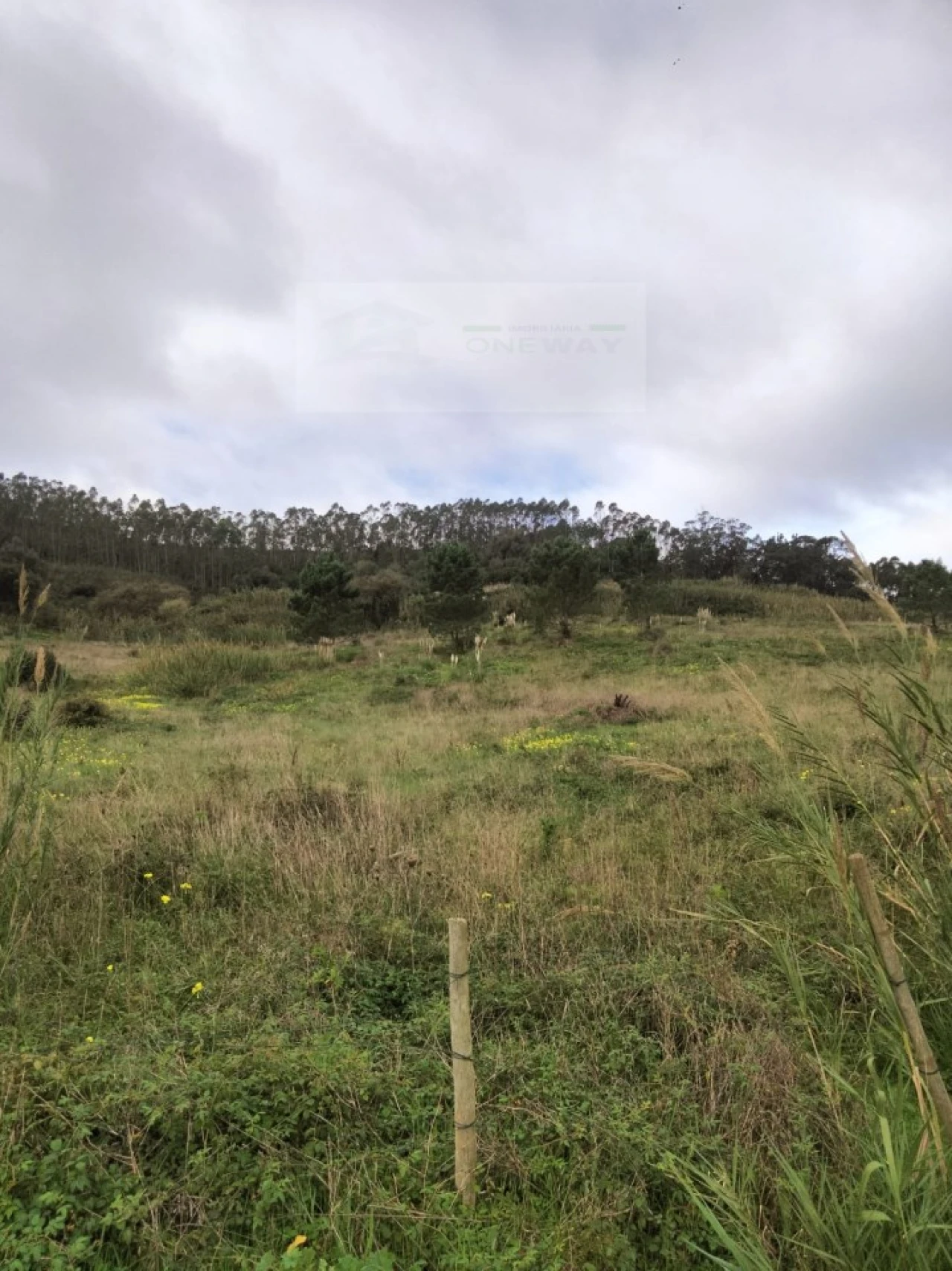 Terreno para Venda em Freiria Foto 11