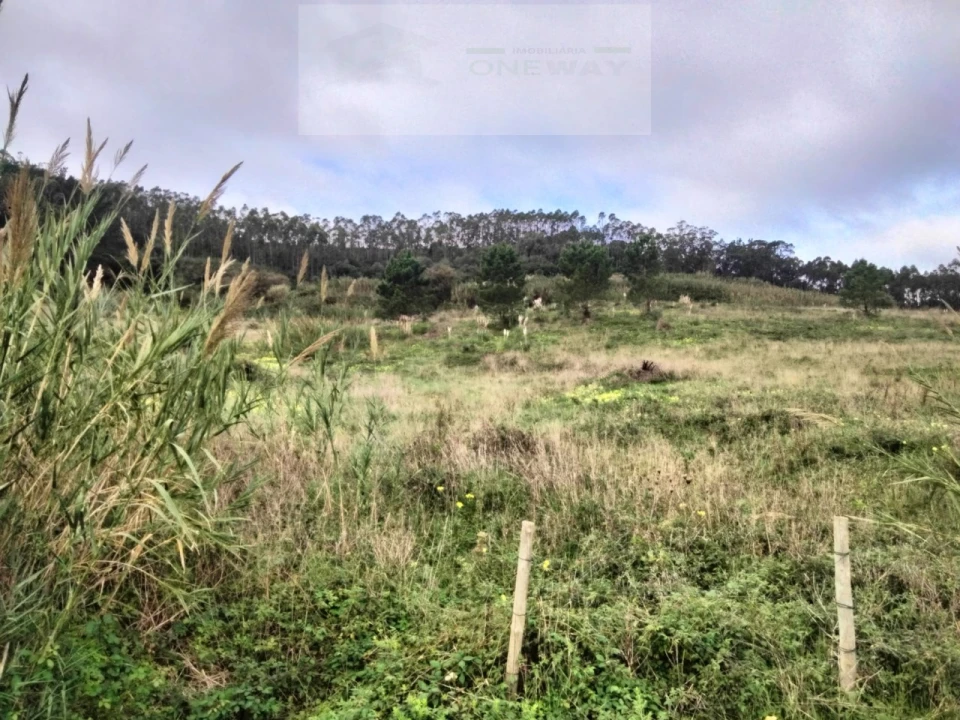 Terreno para Venda em Freiria Foto 6