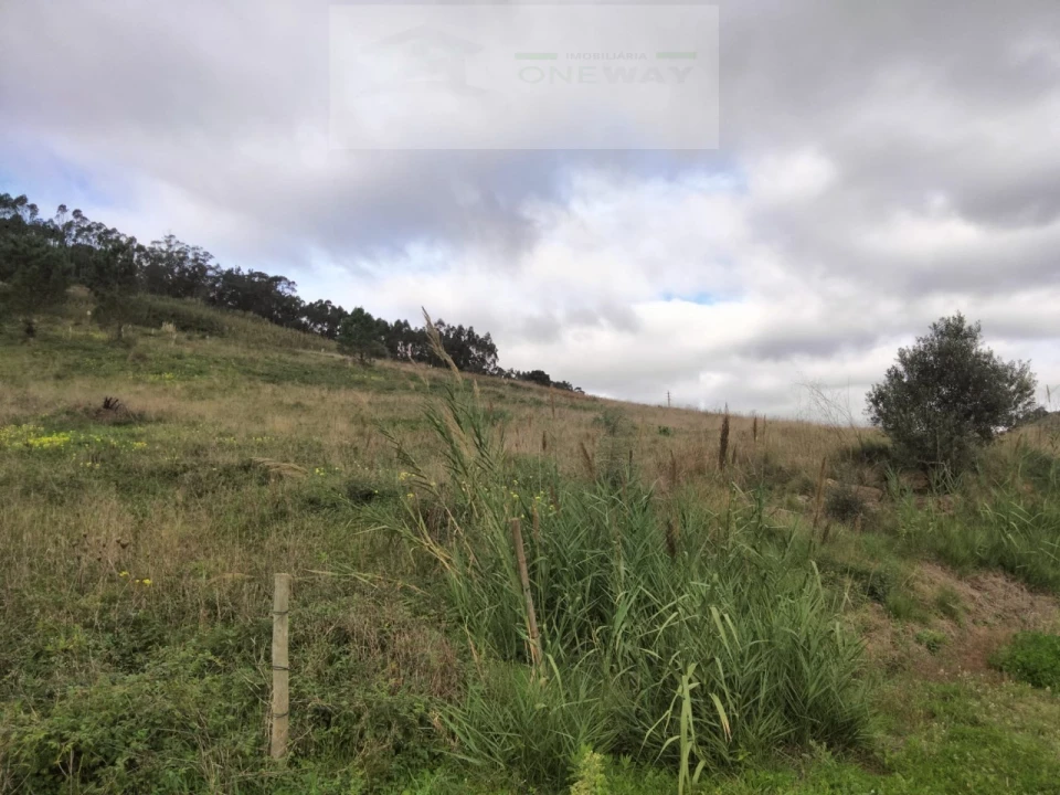 Terreno para Venda em Freiria Foto 7