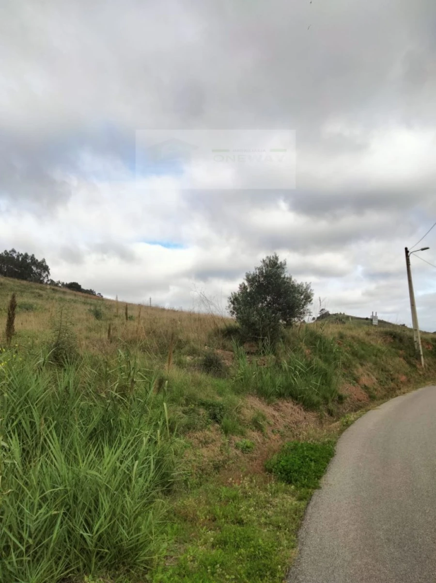 Terreno para Venda em Freiria Foto 10