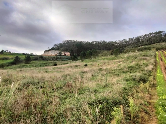 Terreno para Venda em Freiria Foto 1