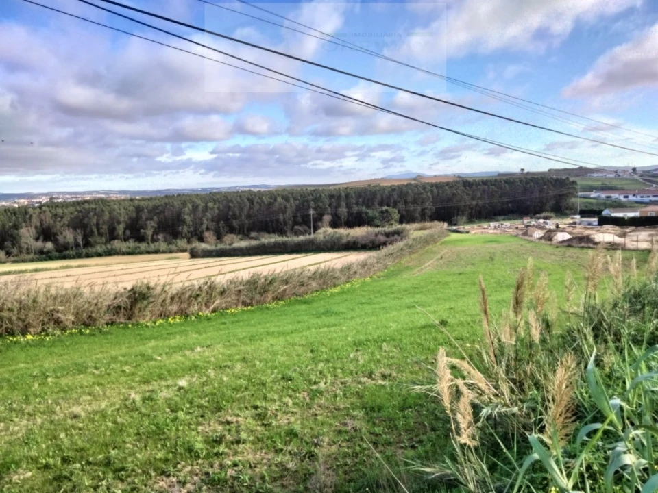 Terreno para Venda em Encarnação Foto 2