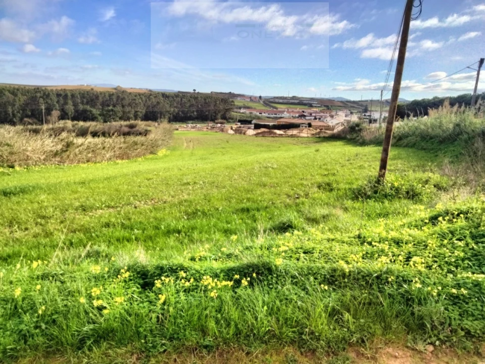 Terreno para Venda em Encarnação Foto 4