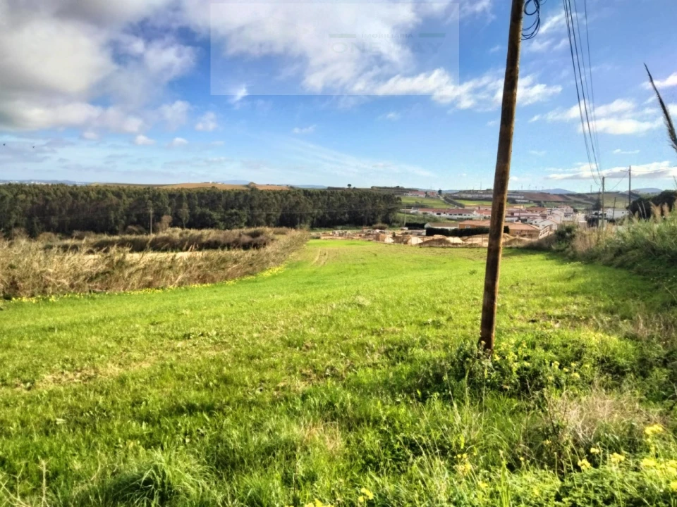 Terreno para Venda em Encarnação Foto 5